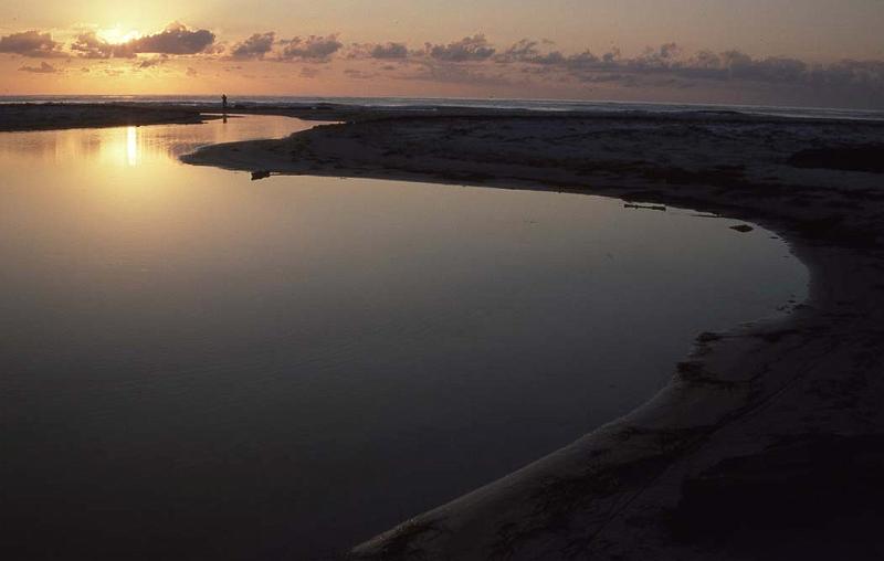WT 080-19 Australia E Cst Taz Sunrise.jpg